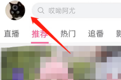 哔哩哔哩直播观看记录在哪
