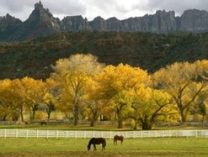 怎样写一份合格的实践报告