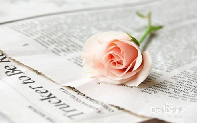 如何在高考前快速提高英语成绩