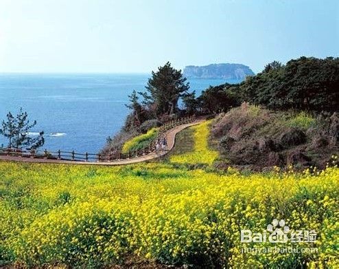 最物美价廉的出境旅行地