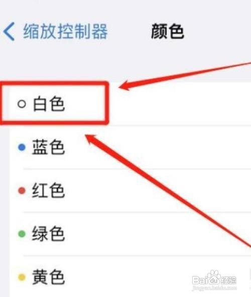 iPhone11Pro手机怎么设置缩放控制器颜色