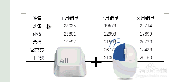 word技巧:如何精确调整宽高