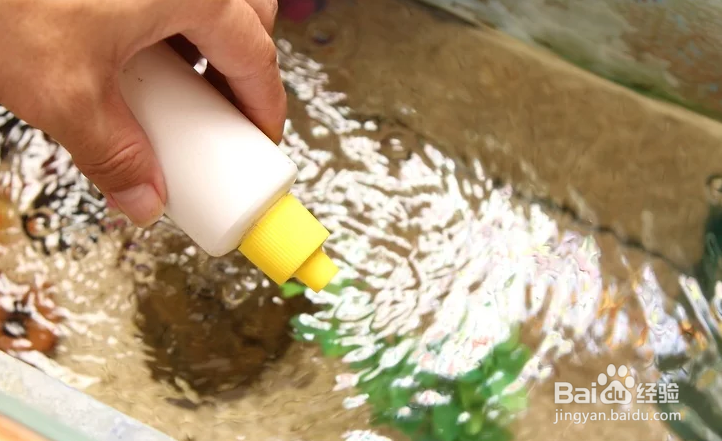 如何对你的鱼缸进行循环