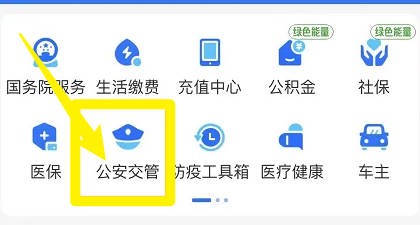 支付宝上怎么查询出入境进度