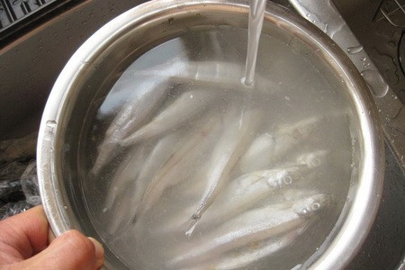 多春鱼怎么清洗，怎么去除内脏和鳃？尽量说的详细点。