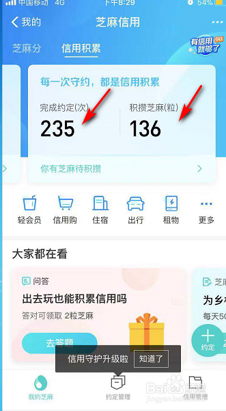 怎么查看芝麻信用的积分呢