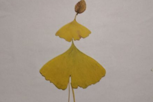 怎么制作树叶贴画