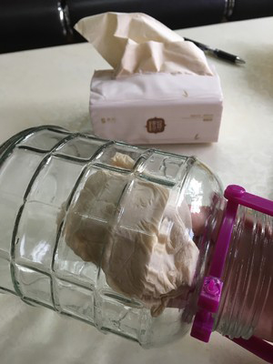 怎样制做捻子酒