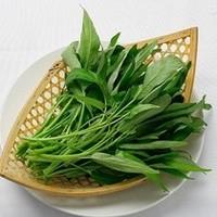 什么人不宜吃空心菜呢