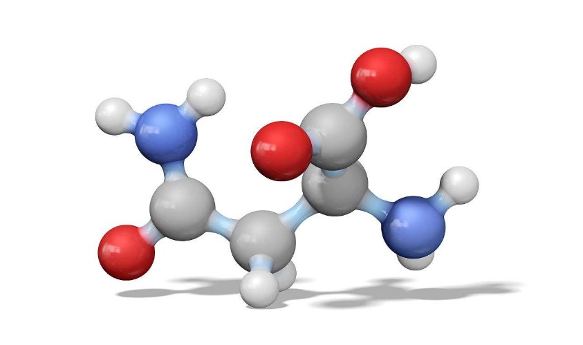 非编码氨基酸有哪些