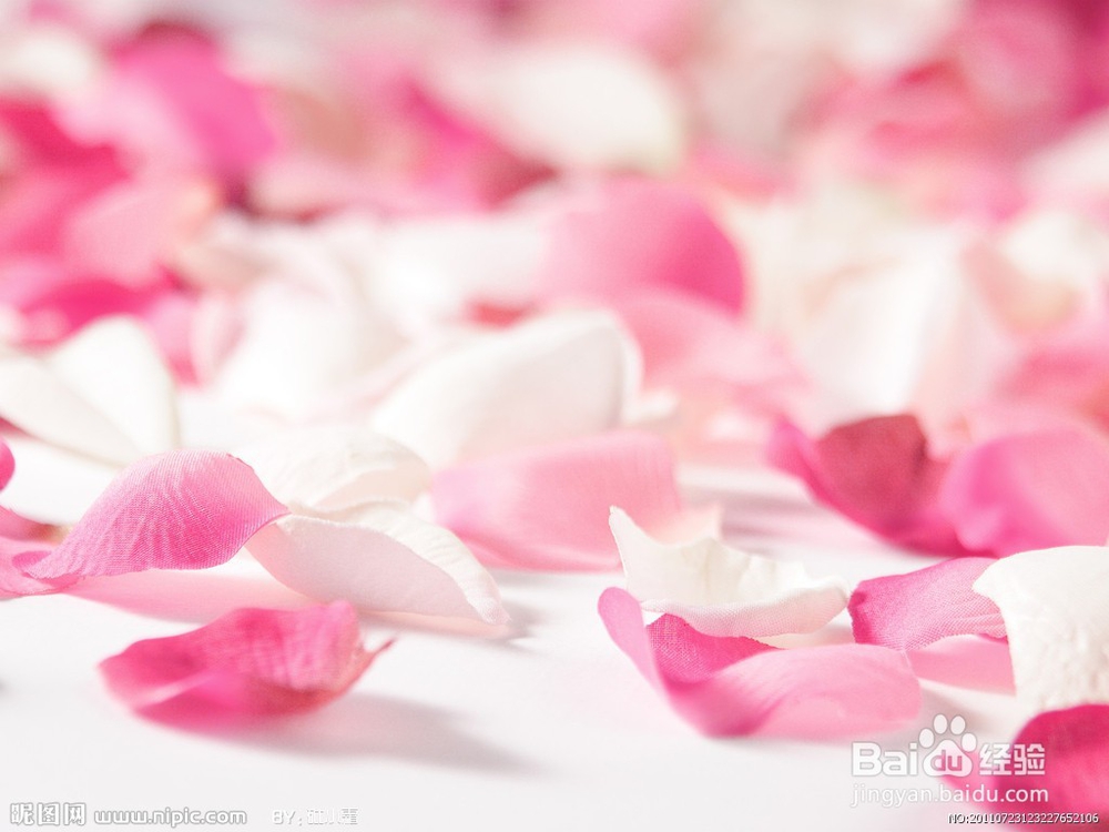 喜欢什么颜色的人有什么脾气