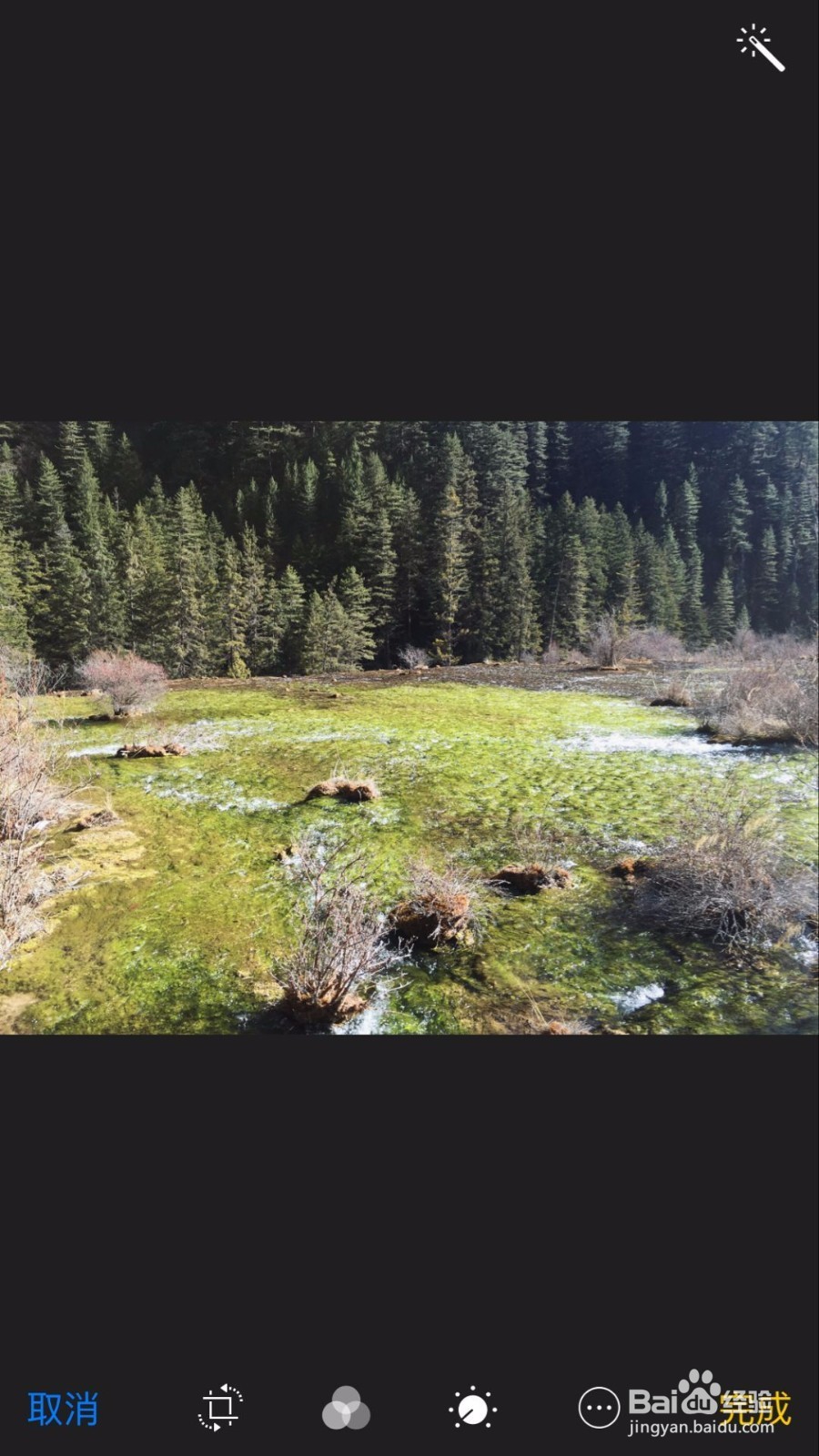 苹果手机使用技巧之用滤镜快速美化照片