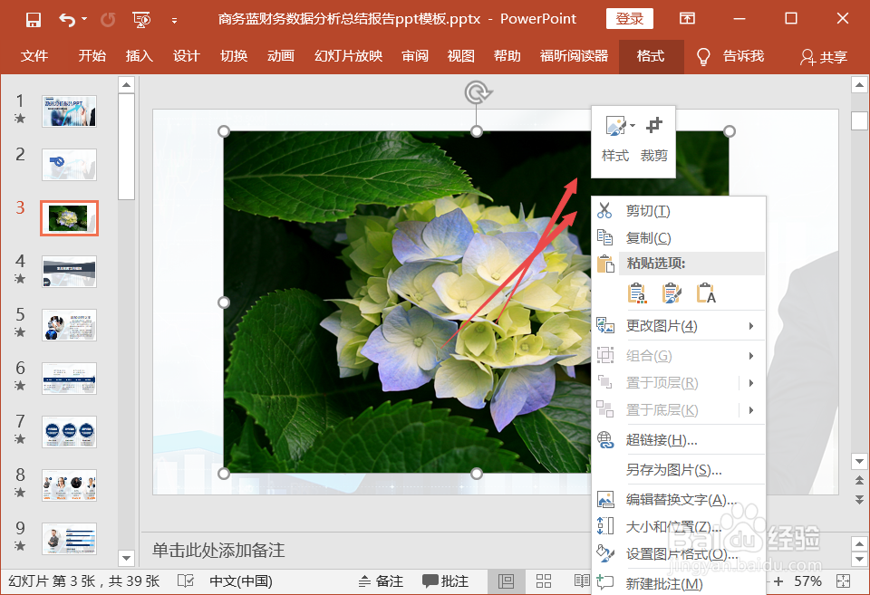 ppt中怎么裁剪图片