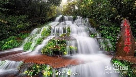 雅安碧峰峡游玩攻略