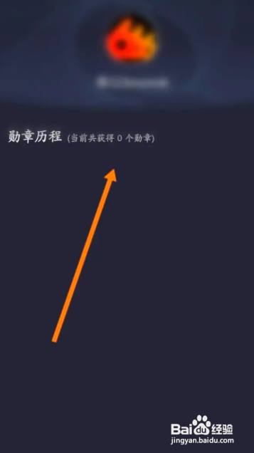 卡车之家中到哪查看获取的勋章