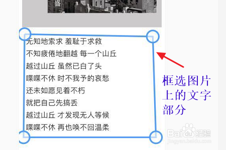 怎样提取图片上的文字?