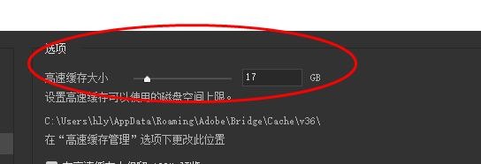 bridge高速缓存大小如何设置为17GB#校园分享#
