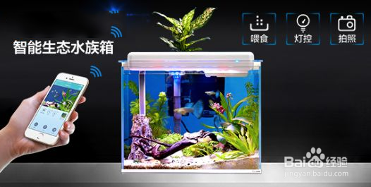 智能鱼缸方案开发