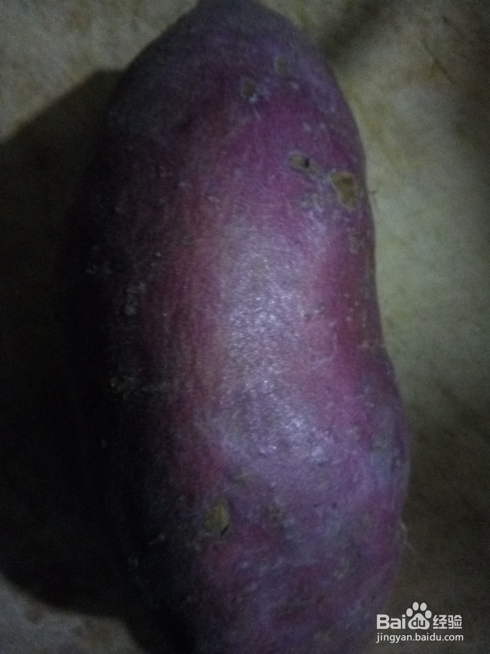 番薯枸杞两参干米粥