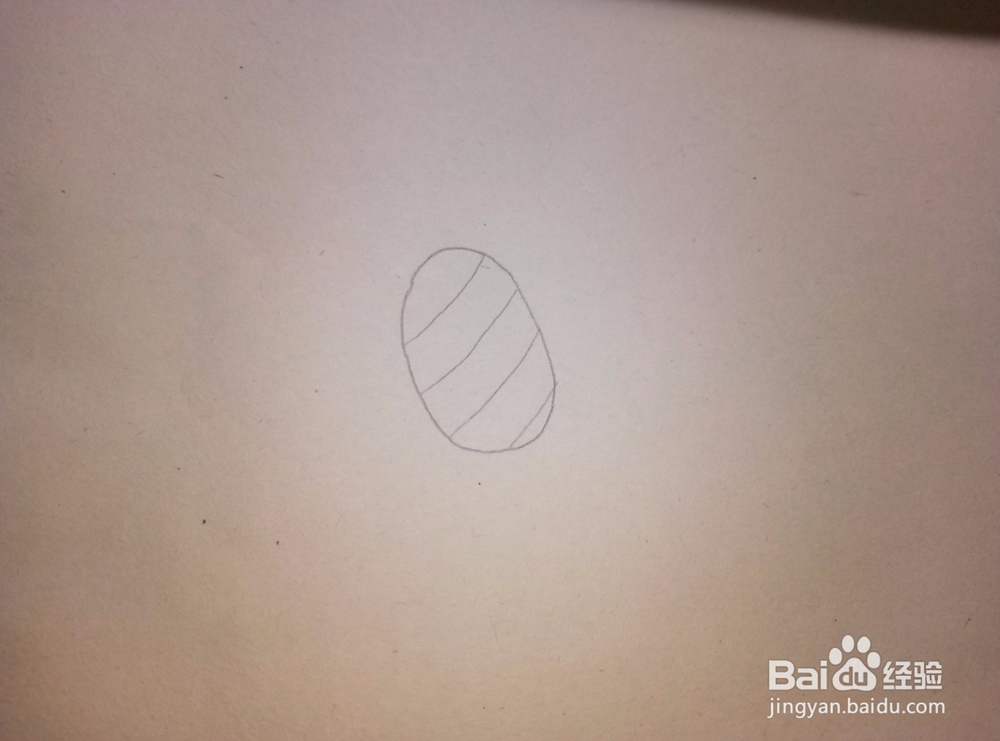 简笔画之——菠萝