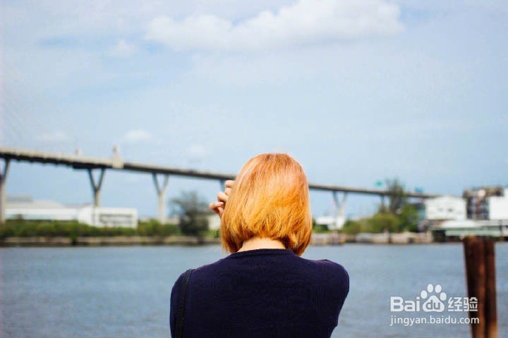 哪里可以看到美剧(带英文字幕)