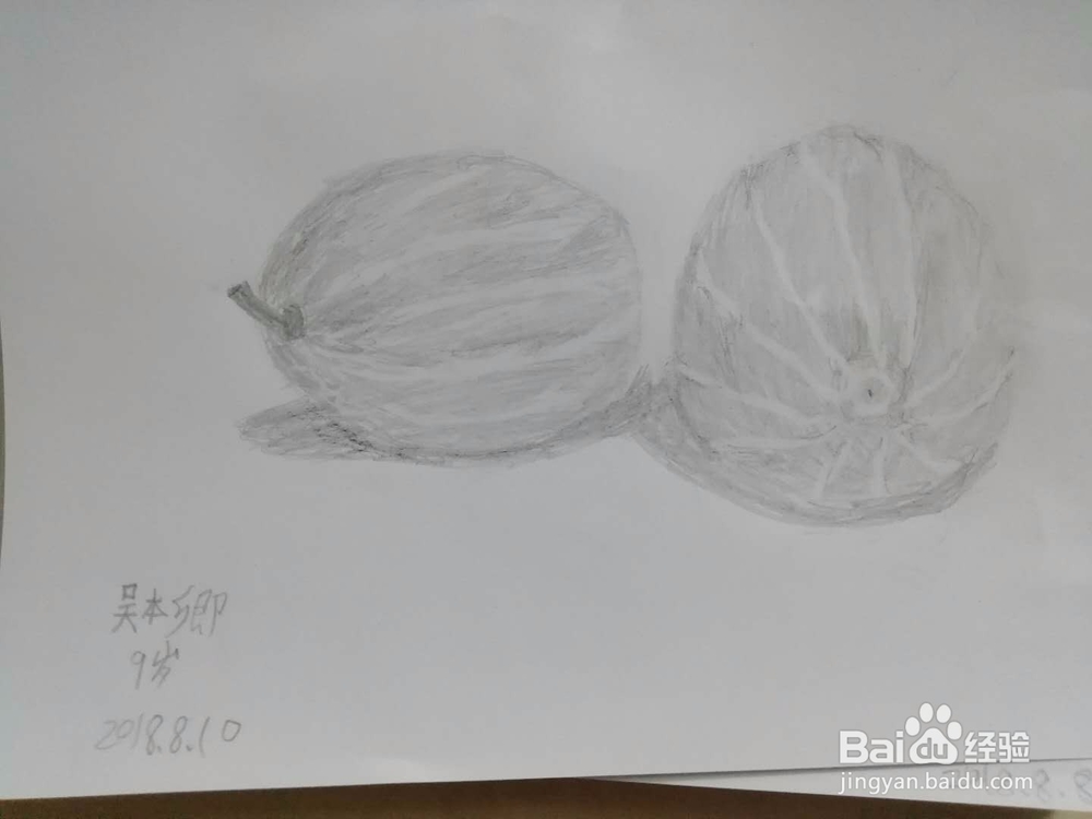 素描静物蔬菜水果——西瓜怎么画