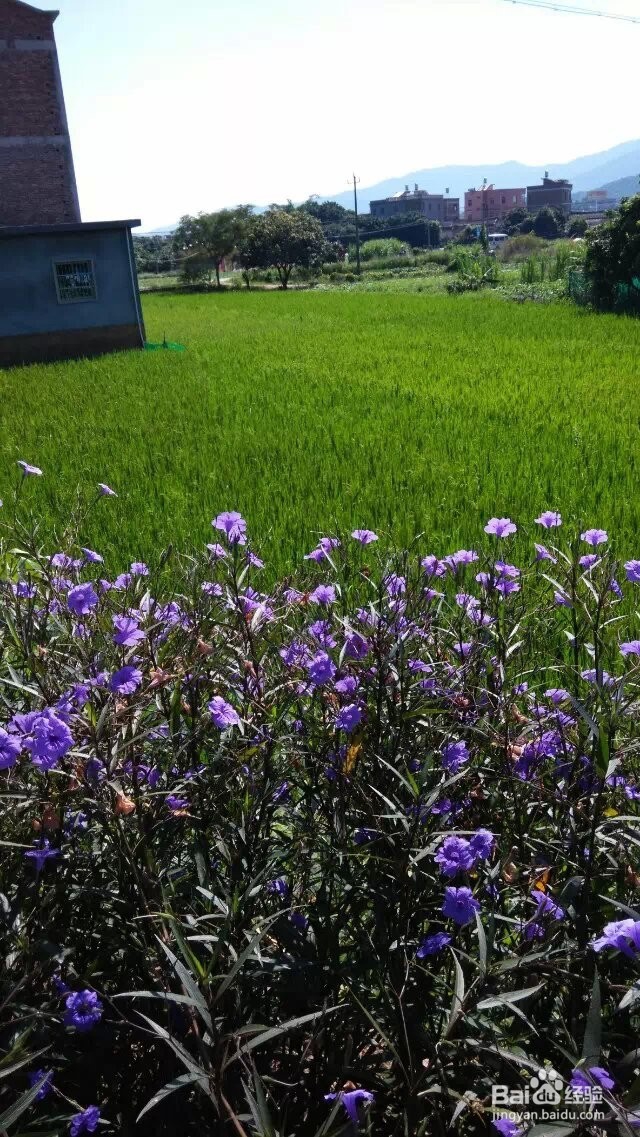 有空多陪陪亲人