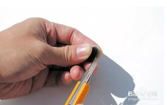 花花草草怎么播种长大