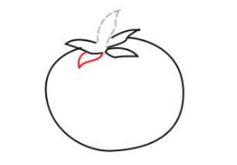 简笔画-如何画番茄