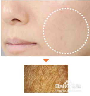 原力影响我们肌肤健康的原理是什么