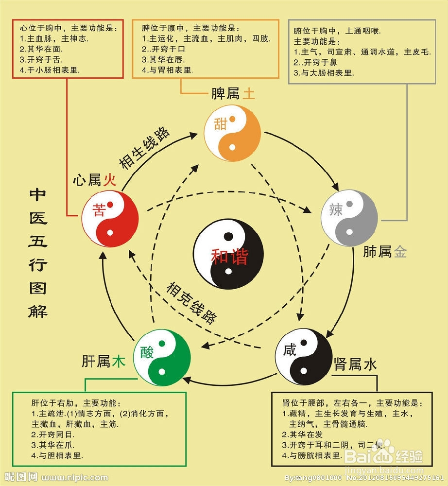 偏头痛发作时有什么症状