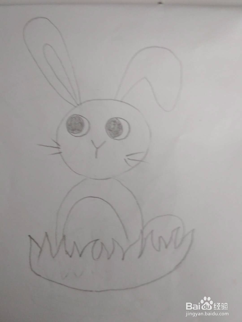 多妈简笔画动物一只可爱的小白兔