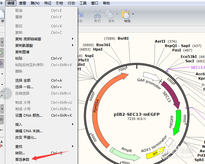 SnapGene怎么设置默认设置为蛋白质文件