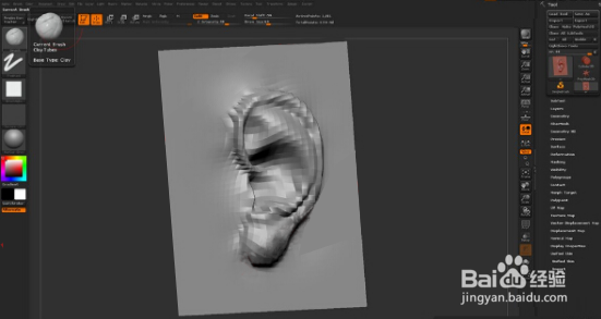 如何使用ZBrush雕刻耳朵结构