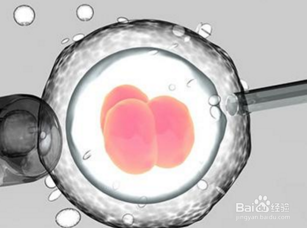 哪些因素影响试管婴儿的费用