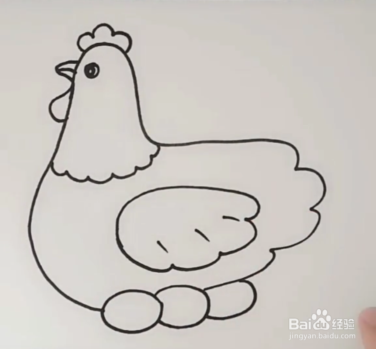 母鸡怎么画正面图片