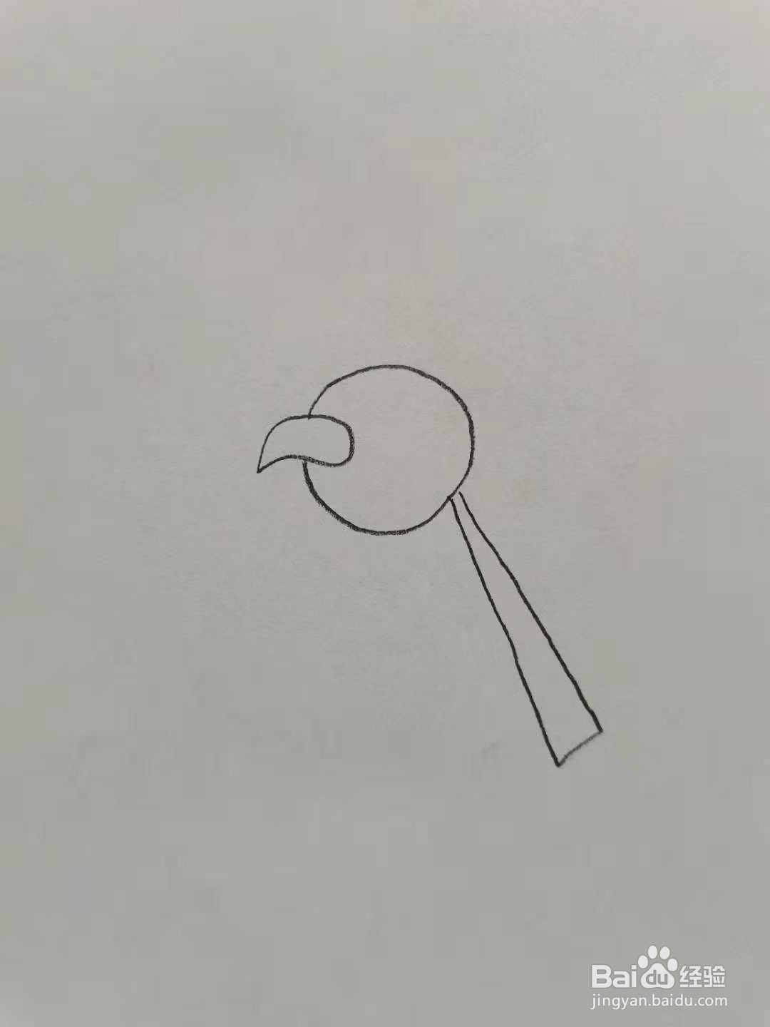 天然鸟怎么画