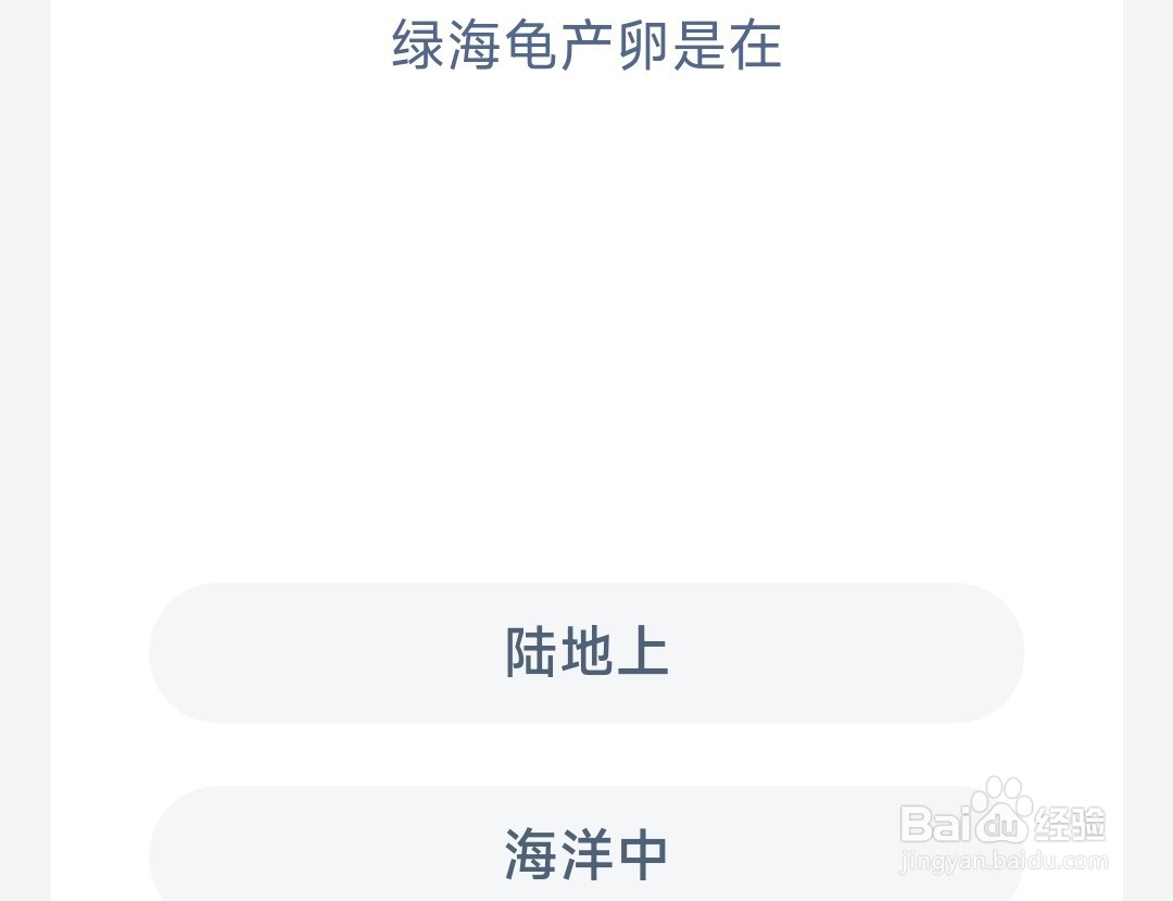 神奇海洋：绿海龟产卵是在