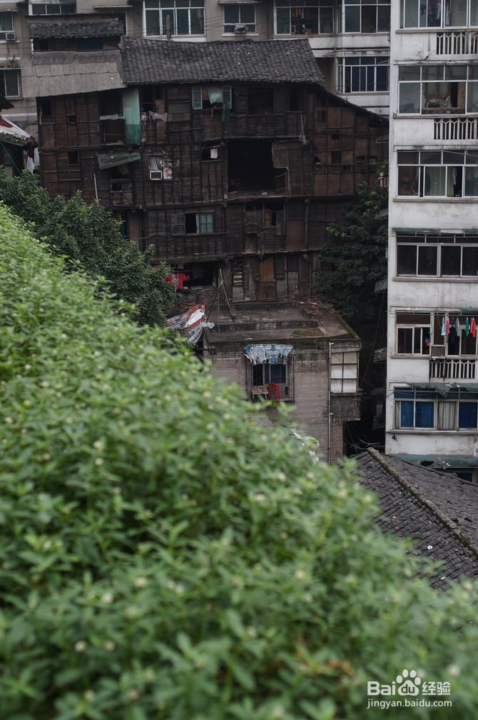从火锅到小吃的重庆之旅