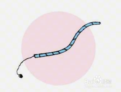 橡皮筋魔术揭秘——空手来绳