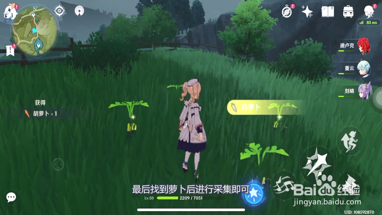 原神萝卜在哪里采集