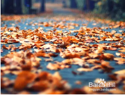 怎样提高自媒体上的文章点击率？