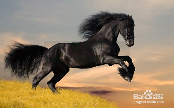 如何简单将收费图片另存为本地文件