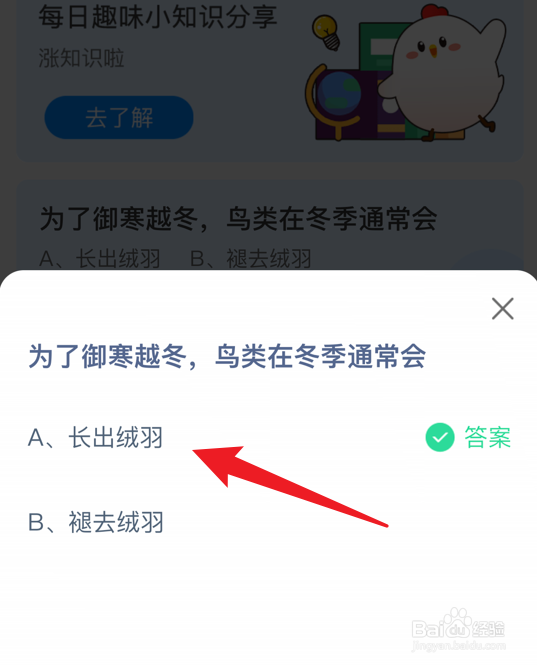 为了御寒越冬,鸟类在冬季通常会蚂蚁庄园