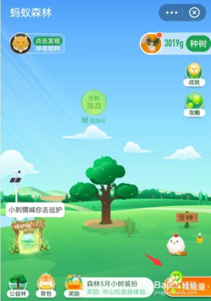 支付宝蚂蚁如何帮好友复活能量