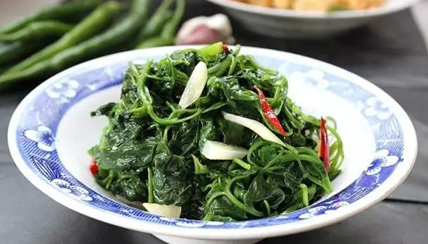 随手可见的路边菜——灰灰菜