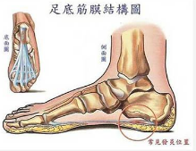 打篮球该怎么注意安全