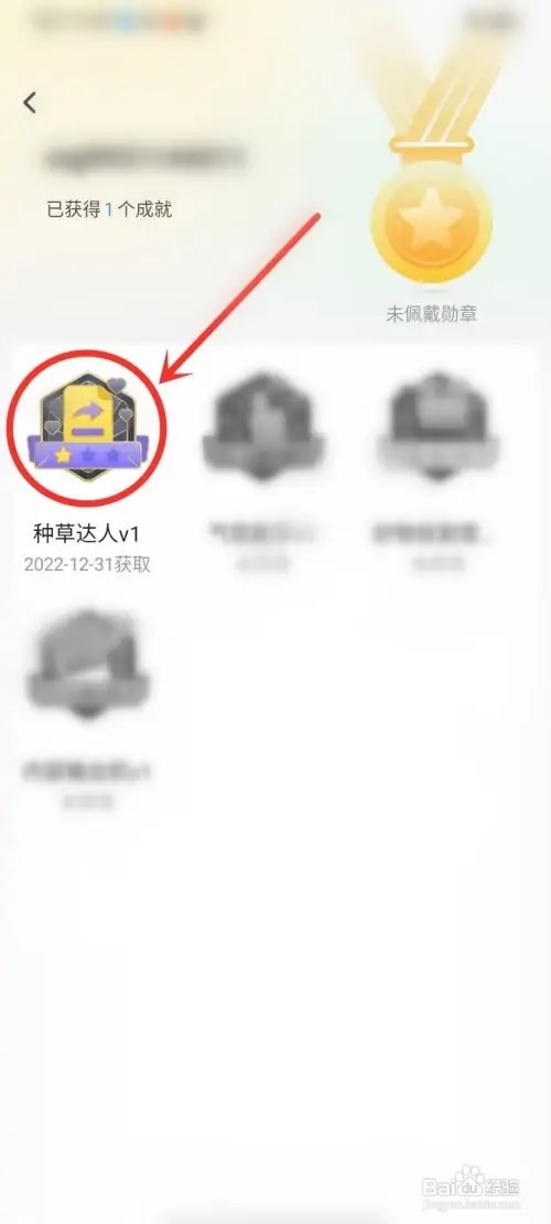 小芒成就勋章如何佩戴
