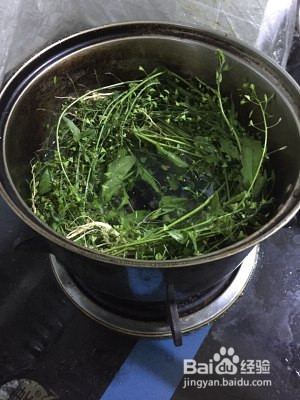 荠菜花煮鸡蛋儿童版