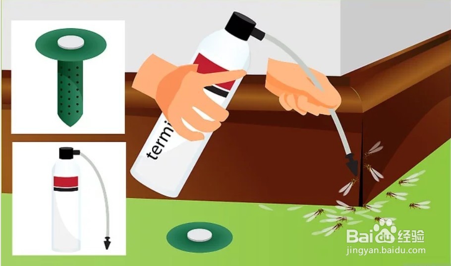 别墅白蚂蚁怎么消灭